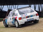 Peugeot 205 T16 Rally Car 1984 года